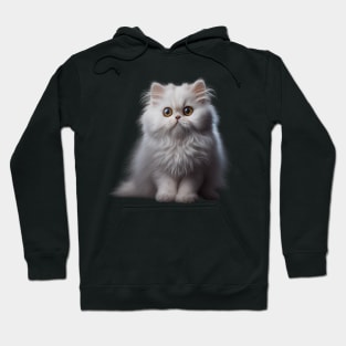 Persian Cat - A Sweet Gift Idea For All Cat Lovers And Cat Moms Hoodie